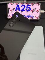 BACK COVER WITH CAMERA LENS SAMSUNG A25