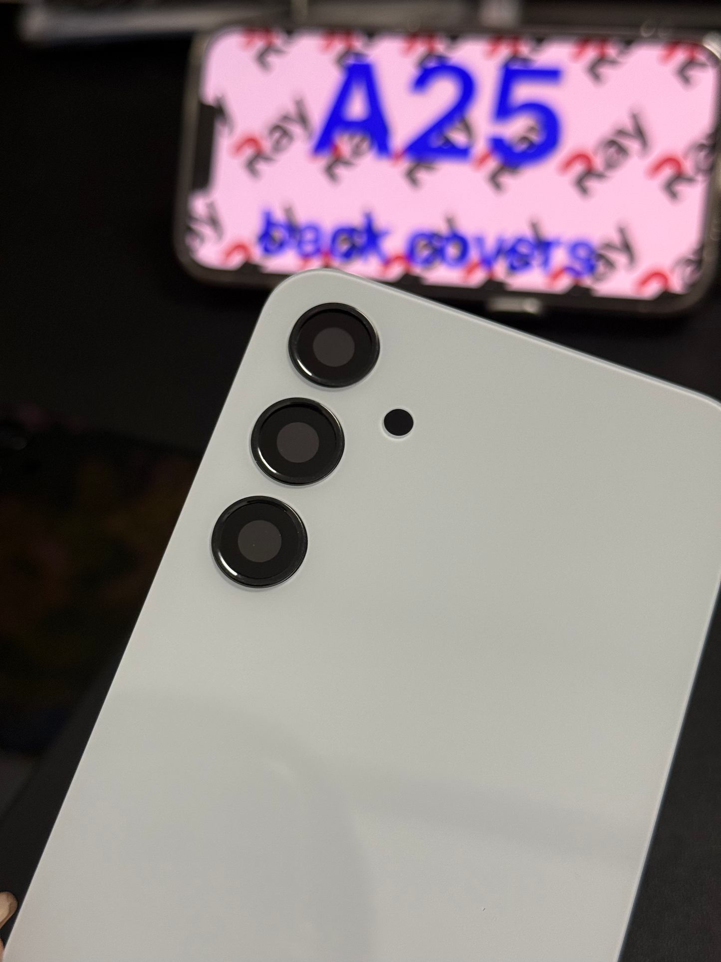 BACK COVER WITH CAMERA LENS SAMSUNG A25