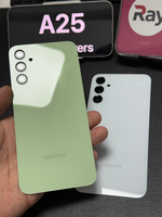 BACK COVER WITH CAMERA LENS SAMSUNG A25