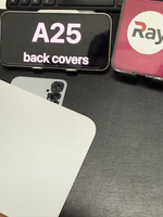 BACK COVER WITH CAMERA LENS SAMSUNG A25